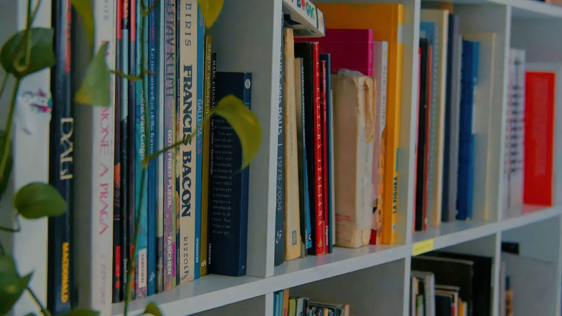 La libreria dello studio, piena di libri d'arte e di design