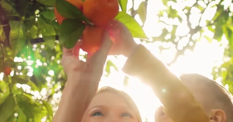 Video opening per cocacola - Fluxx